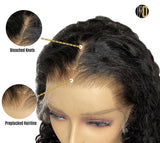 Indian Curly Invisible HD Lace Front Wig